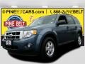 Steel Blue Metallic 2012 Ford Escape XLT