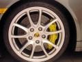 2008 Porsche 911 GT2 Wheel and Tire Photo