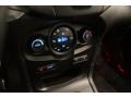 ST Recaro Smoke Storm Controls Photo for 2014 Ford Fiesta #102926840