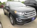 2015 Guard Metallic Ford Edge SEL  photo #1