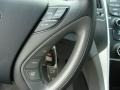 Iridescent Silver Blue Pearl - Sonata GLS Photo No. 15