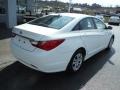 Shimmering White - Sonata GLS Photo No. 9