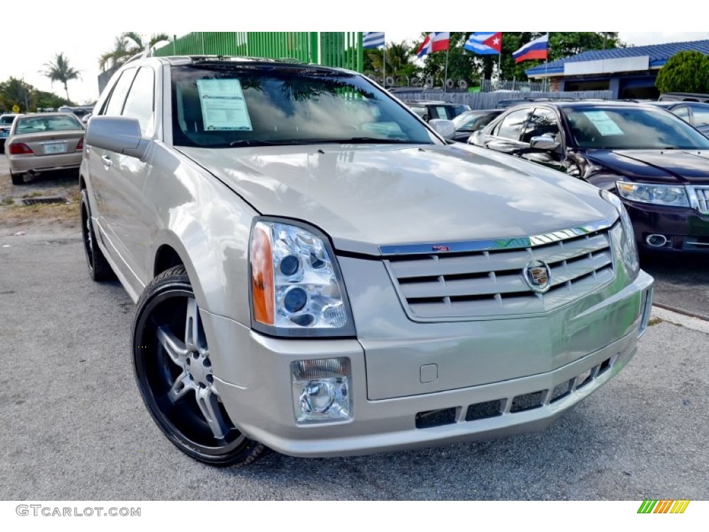 2005 SRX V6 - Light Platinum / Light Gray photo #1