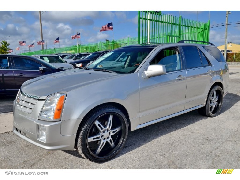 2005 SRX V6 - Light Platinum / Light Gray photo #4
