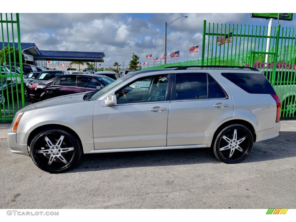 2005 SRX V6 - Light Platinum / Light Gray photo #6