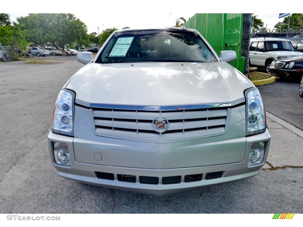 2005 SRX V6 - Light Platinum / Light Gray photo #13