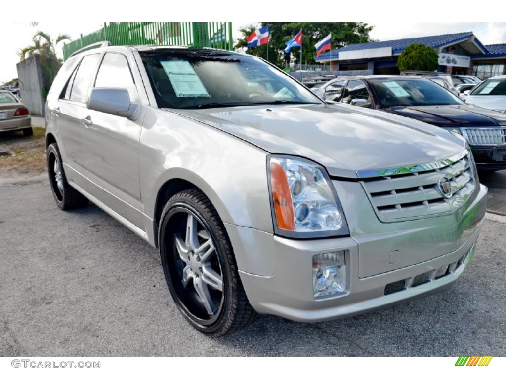 2005 SRX V6 - Light Platinum / Light Gray photo #22