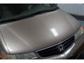 2003 Sandstone Metallic Honda Odyssey EX-L  photo #39
