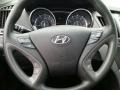 Phantom Black Metallic - Sonata GLS Photo No. 13