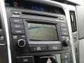 Phantom Black Metallic - Sonata GLS Photo No. 19