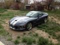 Viper Steel Gray Metallic - Viper GTS Photo No. 2