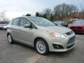 Tectonic Metallic - C-Max Hybrid SEL Photo No. 1