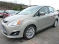 Tectonic Metallic - C-Max Hybrid SEL Photo No. 5