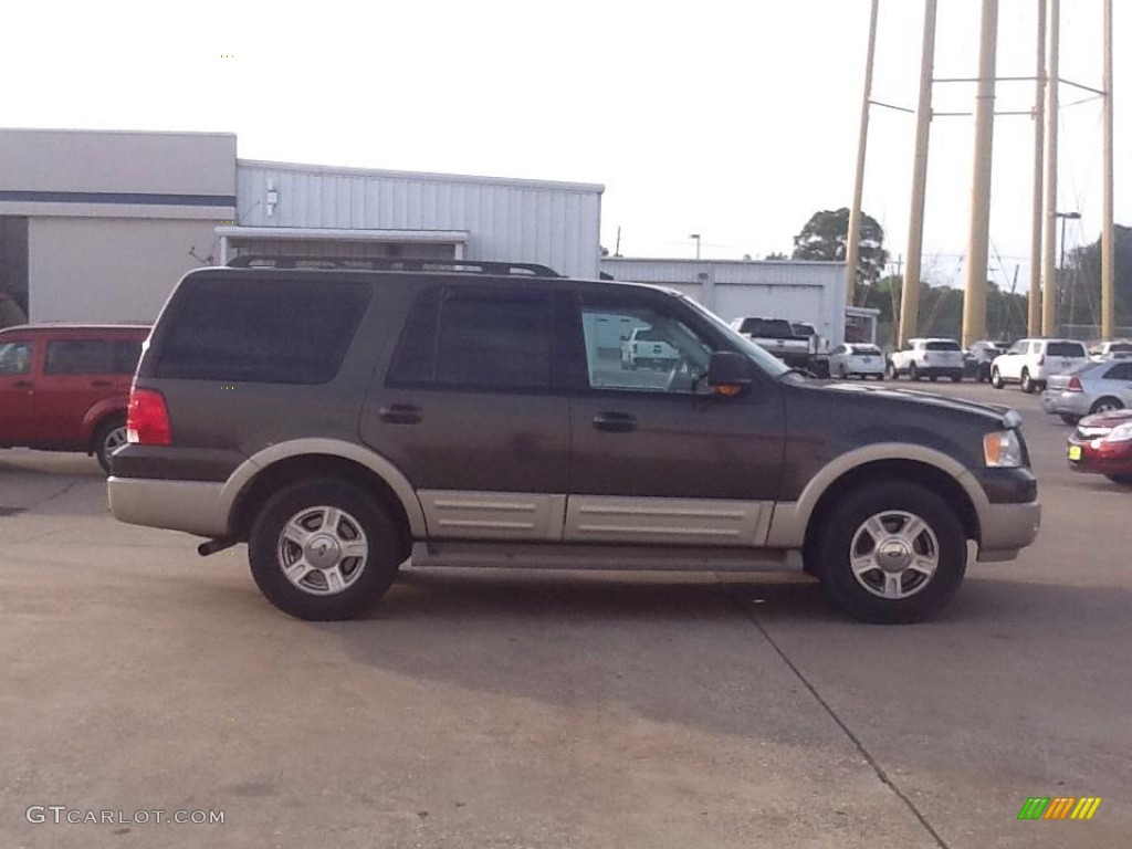 2005 Expedition Eddie Bauer 4x4 - Estate Green Metallic / Medium Parchment photo #4