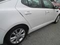 Snow White Pearl - Optima LX Photo No. 32