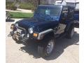 Patriot Blue Pearl - Wrangler X 4x4 Photo No. 2