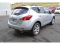 2010 Brilliant Silver Metallic Nissan Murano SL AWD  photo #2