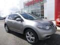 2011 Platinum Graphite Nissan Murano LE AWD  photo #1