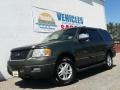 2004 Estate Green Metallic Ford Expedition XLT 4x4 #103001110