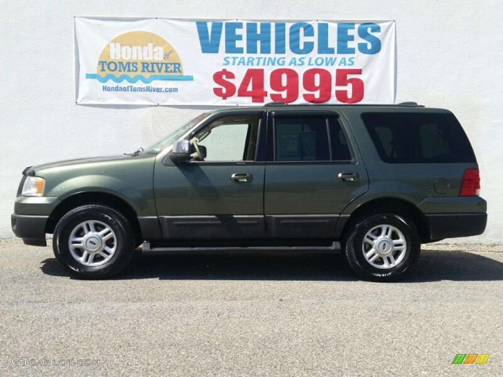 2004 Expedition XLT 4x4 - Estate Green Metallic / Medium Parchment photo #2