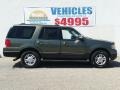 2004 Estate Green Metallic Ford Expedition XLT 4x4  photo #4