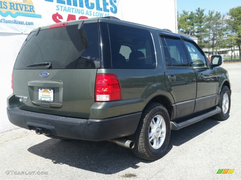 2004 Expedition XLT 4x4 - Estate Green Metallic / Medium Parchment photo #5