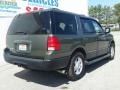 2004 Estate Green Metallic Ford Expedition XLT 4x4  photo #5