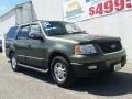 2004 Estate Green Metallic Ford Expedition XLT 4x4  photo #23