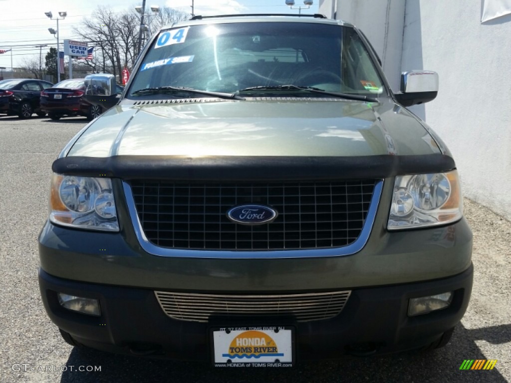 2004 Expedition XLT 4x4 - Estate Green Metallic / Medium Parchment photo #27