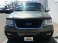 2004 Estate Green Metallic Ford Expedition XLT 4x4  photo #27