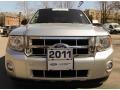 2011 Sterling Grey Metallic Ford Escape XLT V6 4WD  photo #2