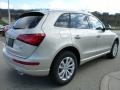 Cuvee Silver Metallic - Q5 2.0 TFSI Premium Plus quattro Photo No. 4
