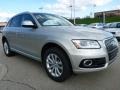 Cuvee Silver Metallic - Q5 2.0 TFSI Premium Plus quattro Photo No. 5