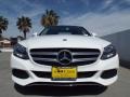 Polar White - C 300 Photo No. 2