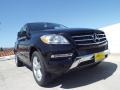 Black - ML 350 Photo No. 11