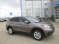 Urban Titanium Metallic - CR-V EX 4WD Photo No. 1