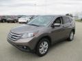 Urban Titanium Metallic - CR-V EX 4WD Photo No. 5