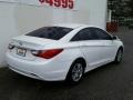 Shimmering White - Sonata GLS Photo No. 21