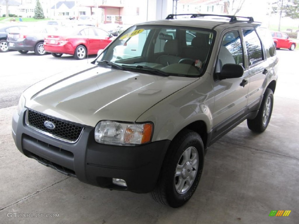 2003 Escape XLT V6 4WD - Gold Ash Metallic / Medium Dark Pebble photo #23