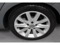 Platinum Gray Metallic - Jetta TDI SportWagen Photo No. 19