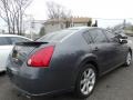 Dark Slate Metallic - Maxima 3.5 SE Photo No. 4