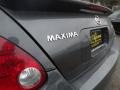 Dark Slate Metallic - Maxima 3.5 SE Photo No. 30