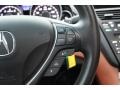 Umber Controls Photo for 2010 Acura ZDX #103094177