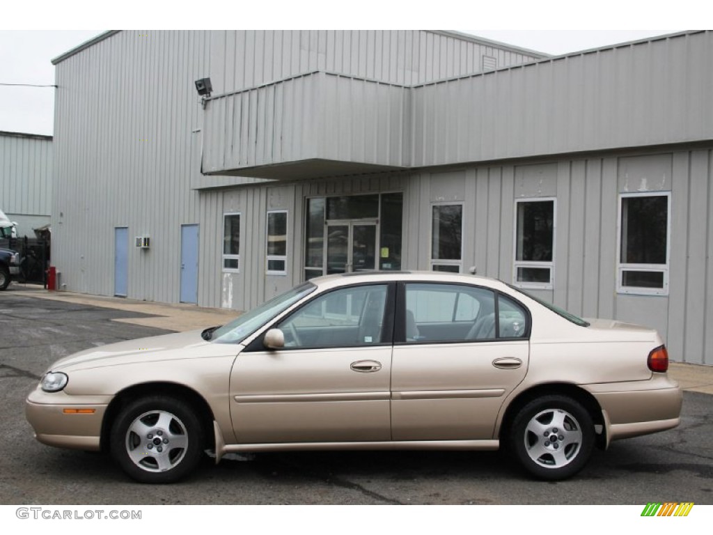 2002 Malibu LS Sedan - Medium Bronzemist Metallic / Neutral photo #9