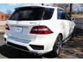 Arctic White - ML 63 AMG 4Matic Photo No. 8