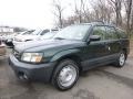 Woodland Green Pearl 2004 Subaru Forester 2.5 X