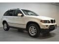 Alpine White - X5 3.0i Photo No. 2