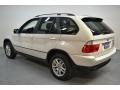 Alpine White - X5 3.0i Photo No. 6