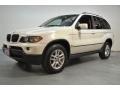 Alpine White - X5 3.0i Photo No. 10