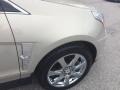 2010 Gold Mist Cadillac SRX 4 V6 Turbo AWD  photo #40